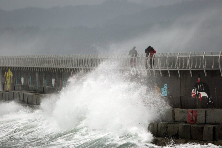 wild-christmas:-bc-ferries-cancels-many-sailings-over-‘severe’-forecast