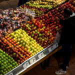 a-third-of-canadians-have-borrowed-money-to-pay-for-food,-other-necessities-in-2024