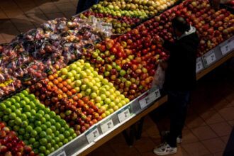 a-third-of-canadians-have-borrowed-money-to-pay-for-food,-other-necessities-in-2024