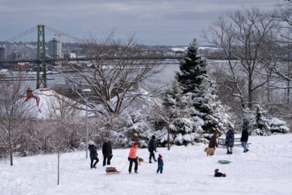 my-wish-list-for-a-safe-and-secure-canada-in-2025