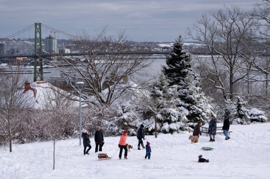 my-wish-list-for-a-safe-and-secure-canada-in-2025