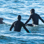 surfing-sea-otter-clambers-onto-board-in-bc,-prompting-warning