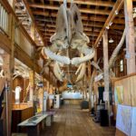 museum-of-whale-skeletons,-painstakingly-rebuilt-over-years,-consumed-by-bc-fire