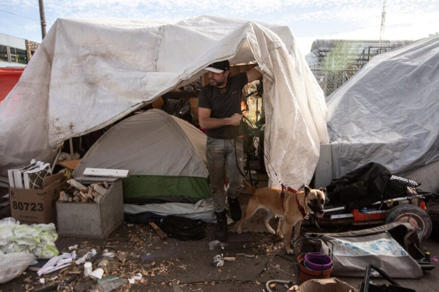 edmonton-had-42-percent-rise-in-encampment-closures-in-2024:-city-data
