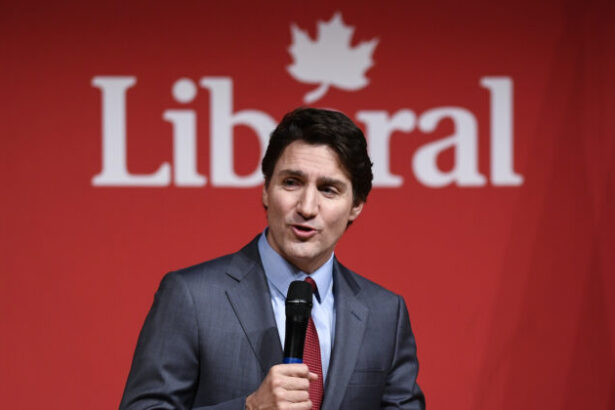 next-steps-for-the-liberal-party-as-it-prepares-for-post-trudeau-era