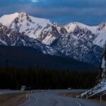calgary-trucker-goes-extra-mile-to-return-lost-purse,-declines-reward-and-leaves-no-name