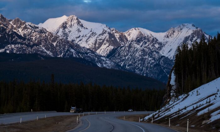calgary-trucker-goes-extra-mile-to-return-lost-purse,-declines-reward-and-leaves-no-name