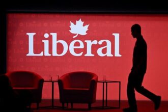 liberal-mps-push-to-block-foreign-nationals-from-voting-in-leadership-race