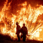 bc-wildlife-sends-team-to-help-combat-la-fires:-eby