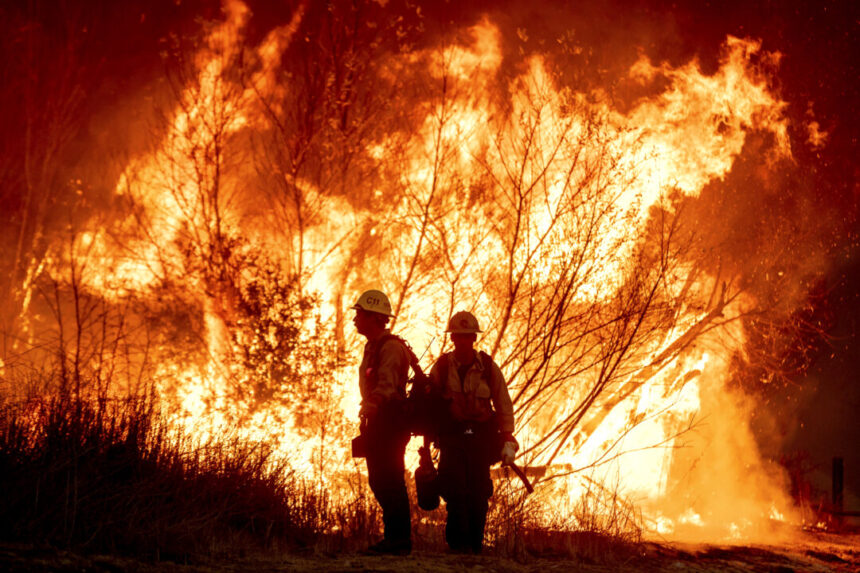 bc-wildlife-sends-team-to-help-combat-la-fires:-eby