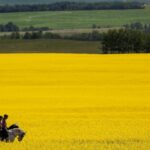 it’s-the-right-time-to-rethink-‘post-nation’-canada 