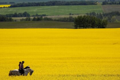 it’s-the-right-time-to-rethink-‘post-nation’-canada 