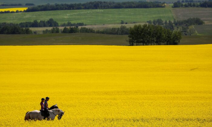 it’s-the-right-time-to-rethink-‘post-nation’-canada 