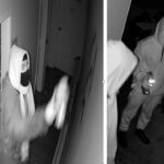 york-regional-police-seek-suspects-following-anti-semitic-vandalism-in-markham