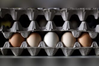 eggs-in-alberta,-bc,-ont,-man,-sask,-recalled-over-salmonella-concerns