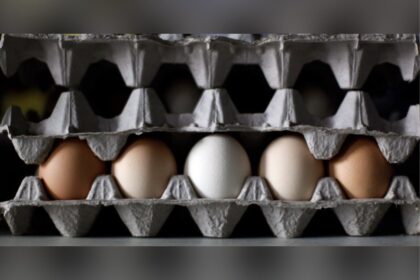 eggs-in-alberta,-bc,-ont,-man,-sask,-recalled-over-salmonella-concerns
