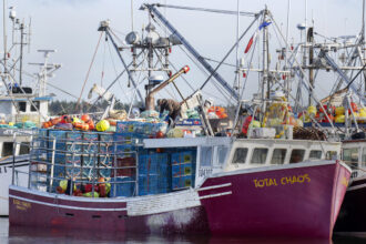 as-trump-takes-power,-atlantic-canadian-seafood-firms-look-to-diversify-export-market