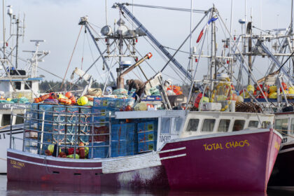as-trump-takes-power,-atlantic-canadian-seafood-firms-look-to-diversify-export-market