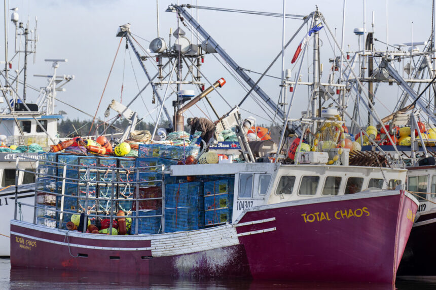 as-trump-takes-power,-atlantic-canadian-seafood-firms-look-to-diversify-export-market