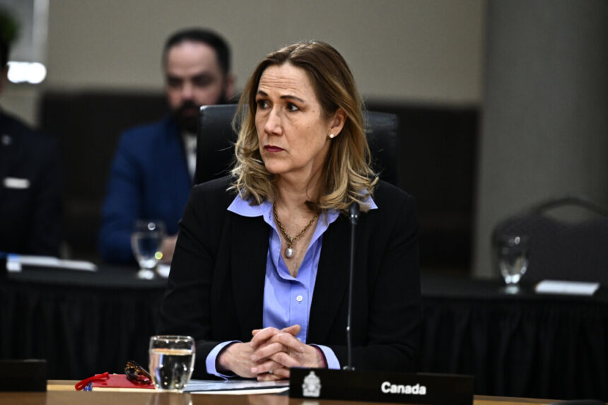 canada-should-focus-on-larger-vision-in-talks-with-trump-administration:-ambassador