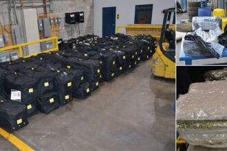 border-agency-seizes-nearly-1,400-kilos-of-contraband-cannabis-bound-for-nigeria