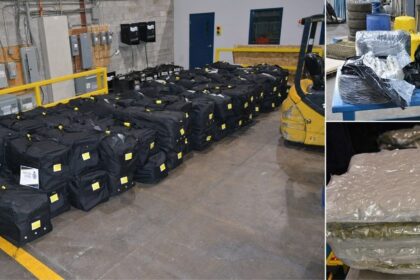 border-agency-seizes-nearly-1,400-kilos-of-contraband-cannabis-bound-for-nigeria
