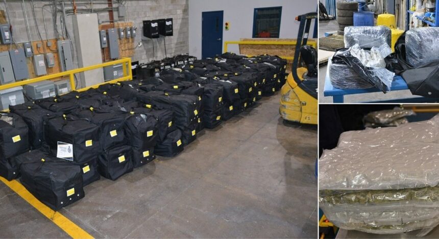 border-agency-seizes-nearly-1,400-kilos-of-contraband-cannabis-bound-for-nigeria