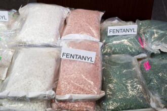 number-of-crime-groups-involved-in-fentanyl-doubled-last-year:-intel-report