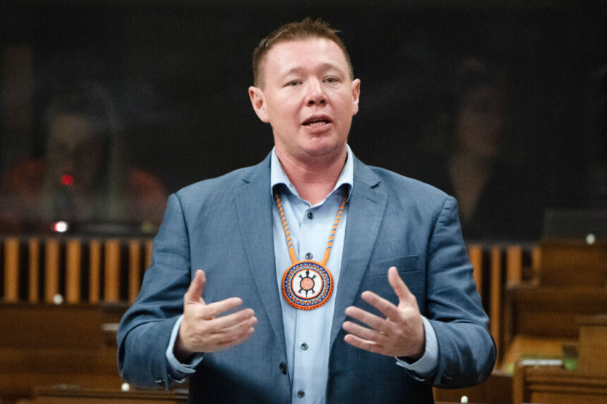 indigenous-mp-says-he-has-the-money-and-the-signatures-to-contest-liberal-leadership