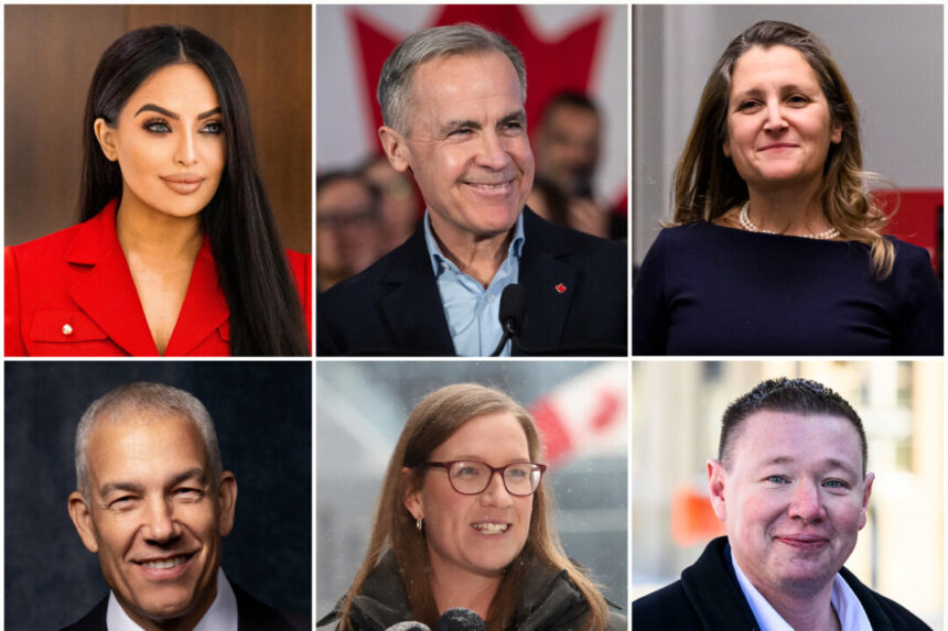 all-six-liberal-leadership-candidates-now-registered-with-elections-canada