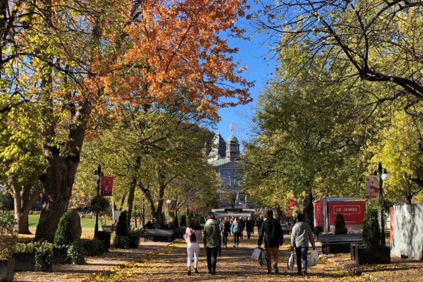98-percent-of-academic-job-postings-in-canada-use-dei-screening:-study