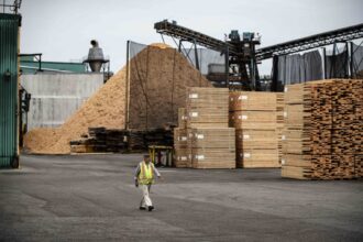 canada’s-forestry-sector-faces-uncertainty-with-25-percent-us-tariffs