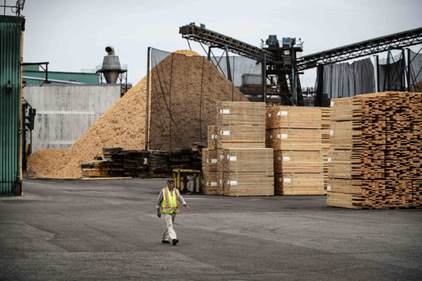 canada’s-forestry-sector-faces-uncertainty-with-25-percent-us-tariffs