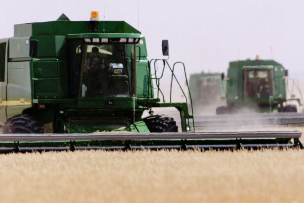 canadian-farmers-brace-for-double-edged-tariffs
