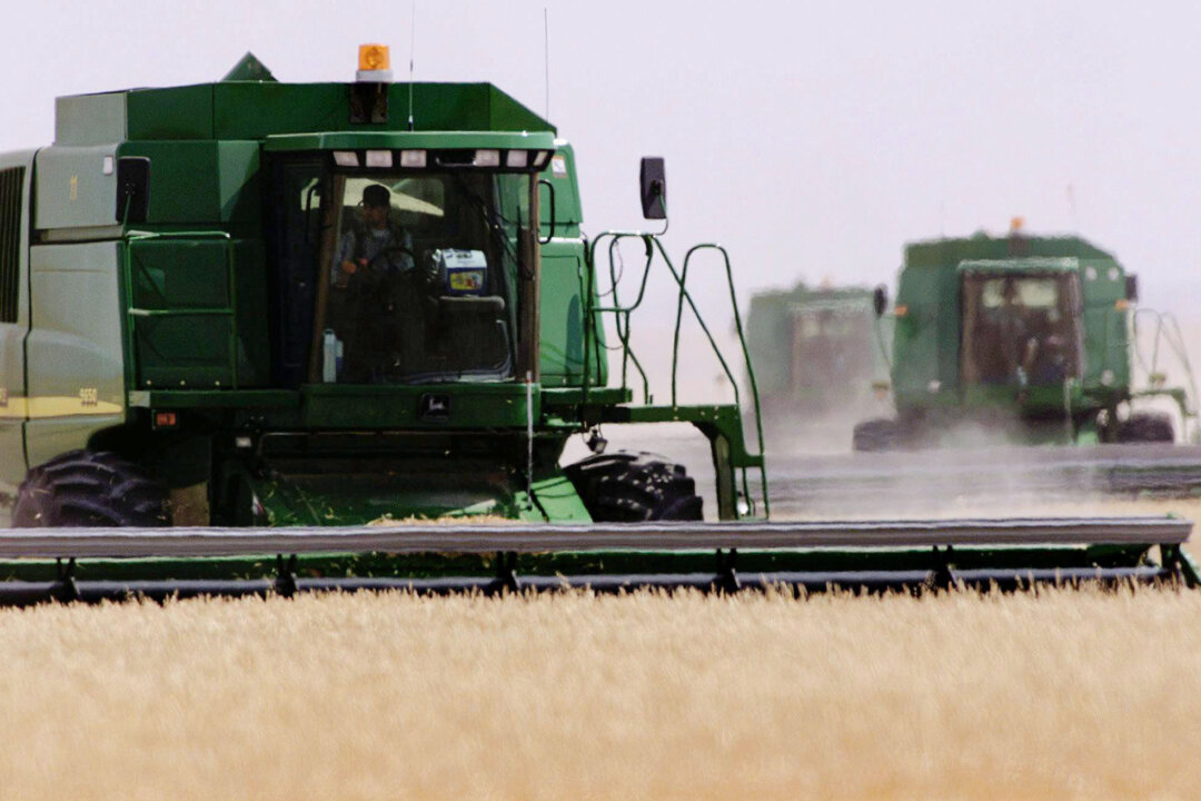 canadian-farmers-brace-for-double-edged-tariffs