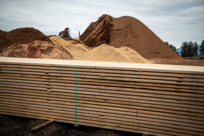 bc-lumber-could-see-us-tariffs-of-over-50-percent:-forests-minister