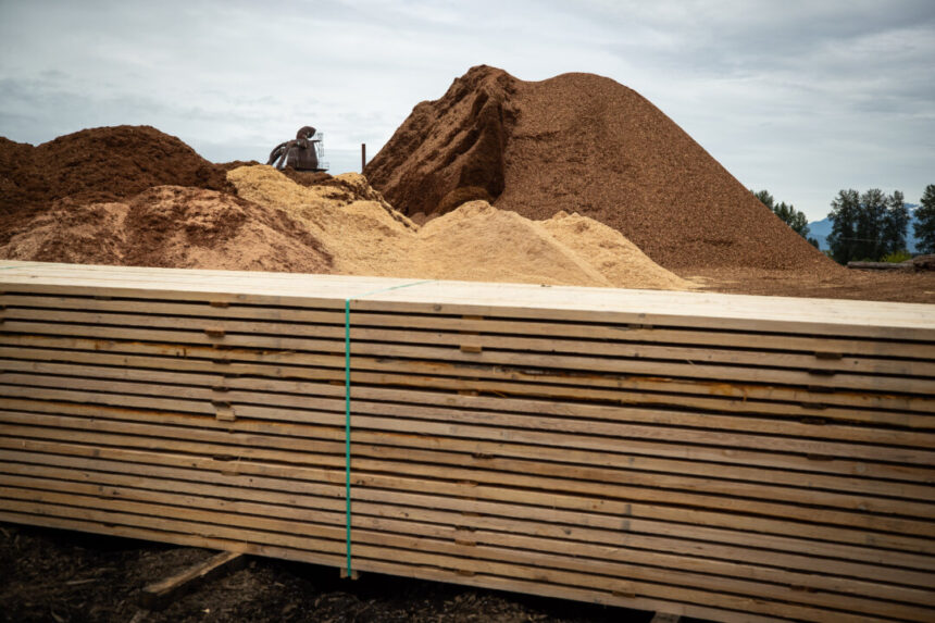 bc-lumber-could-see-us-tariffs-of-over-50-percent:-forests-minister