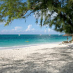 family-of-canadian-woman-bitten-by-shark-in-turks-and-caicos-island-calls-attack-a-‘nightmare’