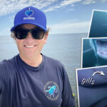 nova-scotia-diver-swims-with-sharks,-captures-footage-inside-jaws-of-great-white—here’s-the-video