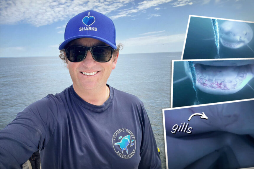 nova-scotia-diver-swims-with-sharks,-captures-footage-inside-jaws-of-great-white—here’s-the-video