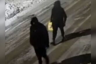 police-investigating-arson-attack-on-houses-in-southern-ontario