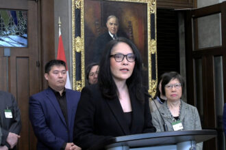 mp,-rights-groups-urge-action-on-gaps-identified-in-foreign-interference-inquiry-report