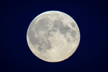 canadian-made-lunar-dust-repellent-heading-to-the-moon-aboard-firefly’s-blue-ghost
