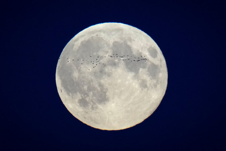 canadian-made-lunar-dust-repellent-heading-to-the-moon-aboard-firefly’s-blue-ghost