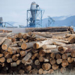 us-plans-to-nearly-triple-anti-dumping-duty-on-canadian-softwood-as-tariffs-loom