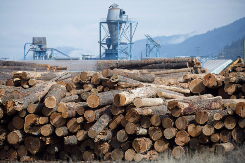 us-plans-to-nearly-triple-anti-dumping-duty-on-canadian-softwood-as-tariffs-loom