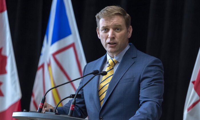 nl-liberals-launch-leadership-race-following-premier-furey’s-resignation-announcement