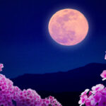 april’s-full-‘pink’-moon-will-be-a-micromoon—here’s-what-you-need-to-know