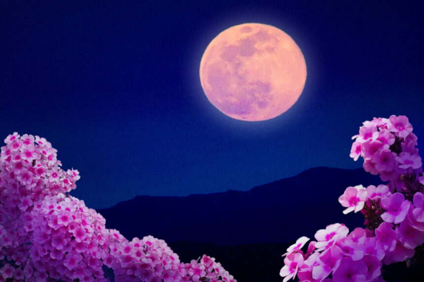 april’s-full-‘pink’-moon-will-be-a-micromoon—here’s-what-you-need-to-know