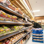 loblaw,-george-weston-settle-bread-price-fixing-class-action-lawsuits